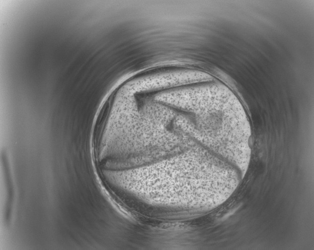 X0000055970811200509162157