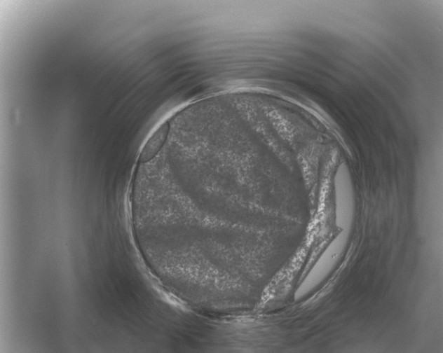 X0000055970814200509162157