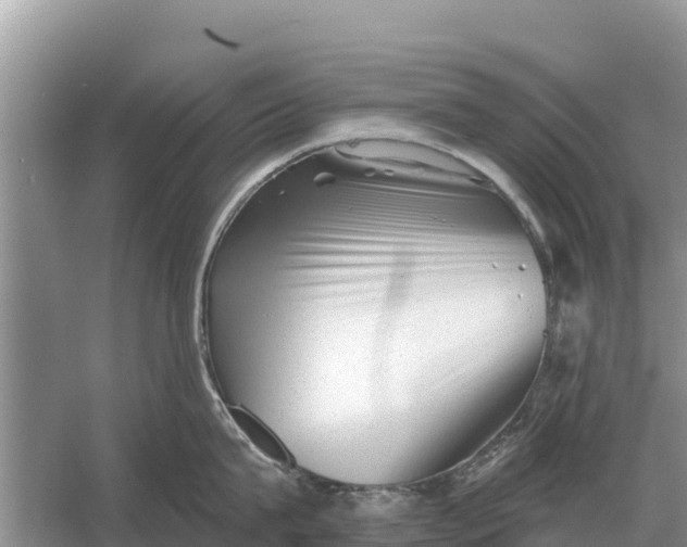 X0000055970815200509162157