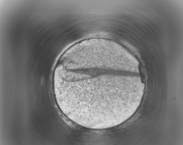 X0000055970816200509162157