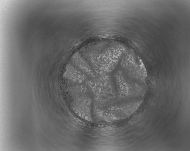 X0000055970817200509162156