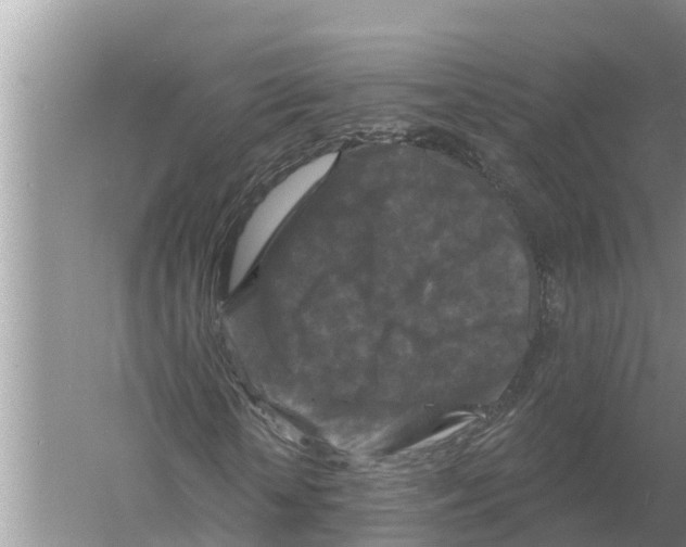 X0000055970818200509162156