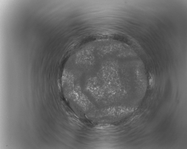 X0000055970819200509162156