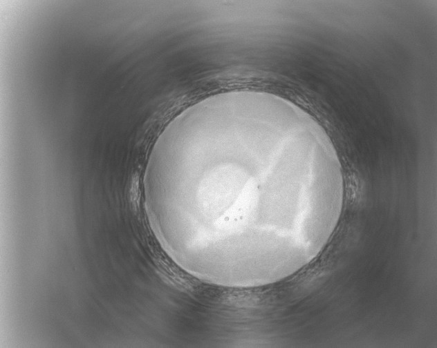 X0000055970820200509162156