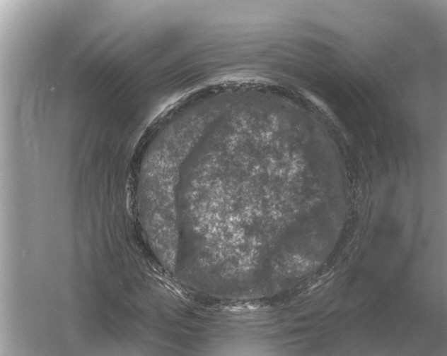 X0000055970823200509162156