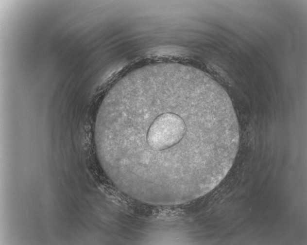 X0000055970824200509162156