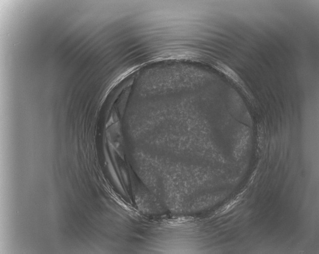 X0000055970826200509162156