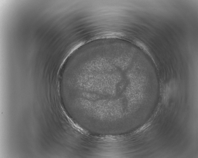 X0000055970827200509162156