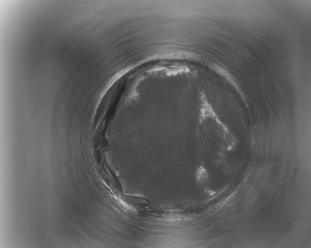 X0000055970829200509162156