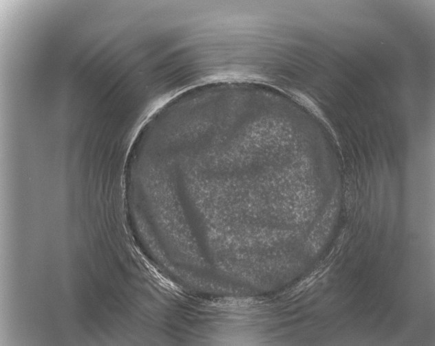 X0000055970831200509162156