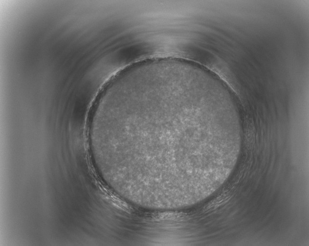 X0000055970832200509162156