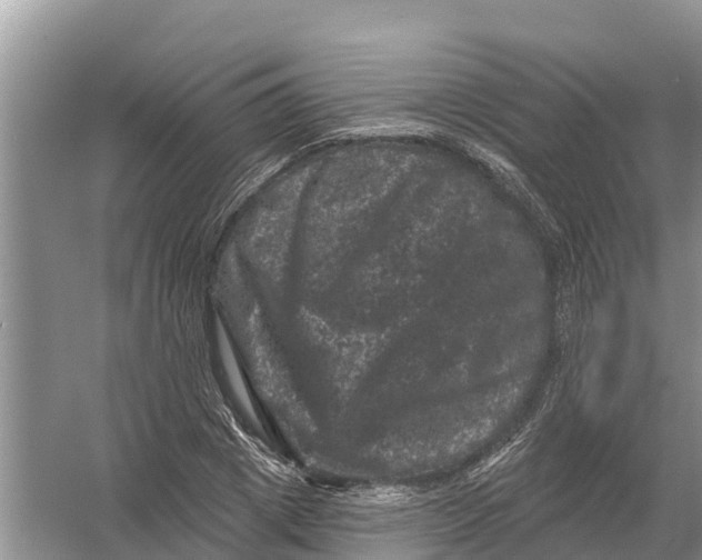 X0000055970833200509162156