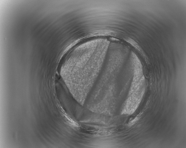 X0000055970834200509162156