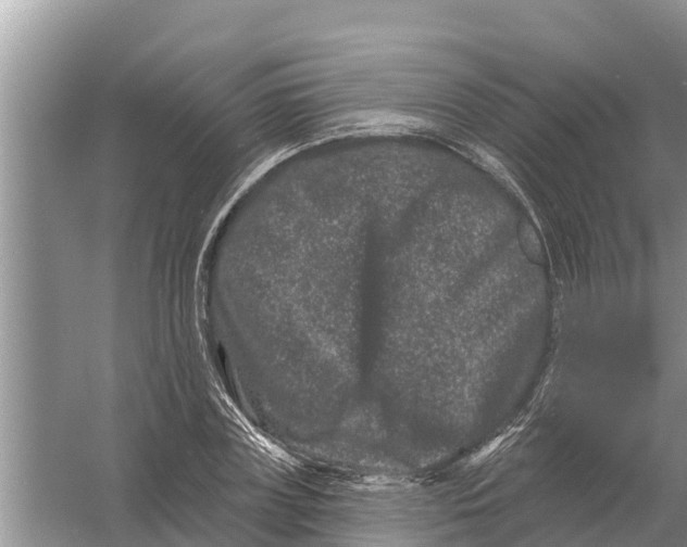 X0000055970835200509162156