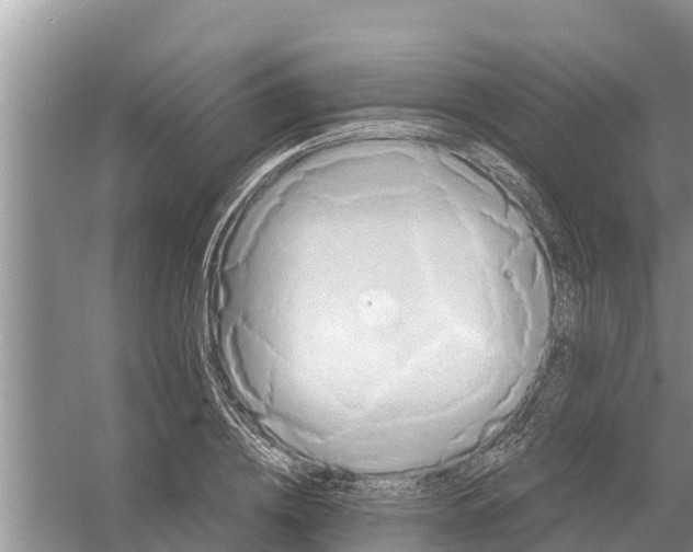 X0000055970836200509162156