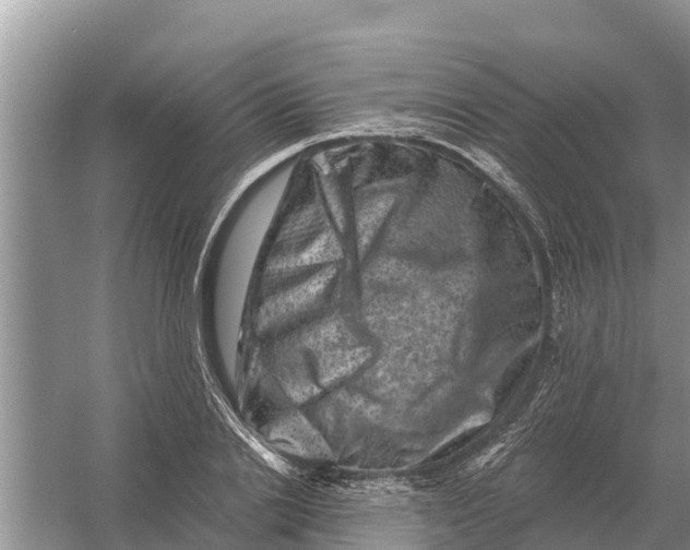 X0000055970838200509162156