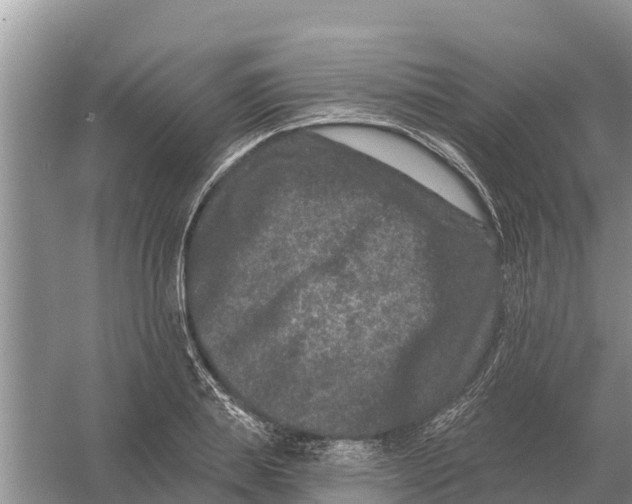 X0000055970839200509162156