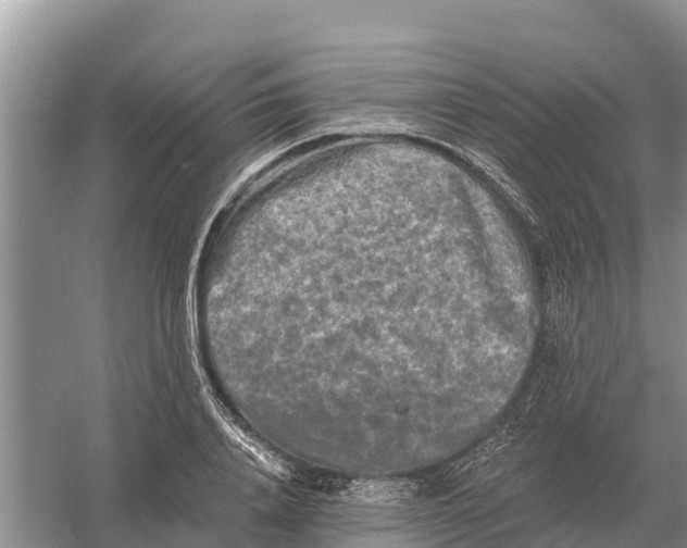 X0000055970840200509162156