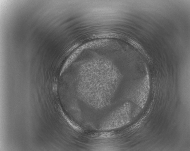 X0000055970841200509162156