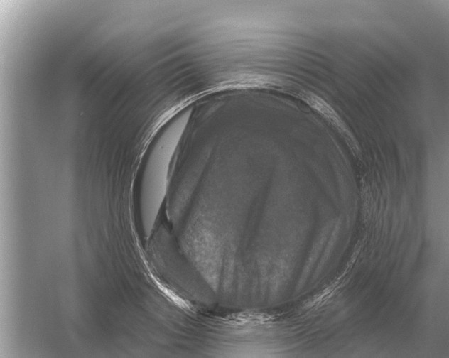 X0000055970842200509162156