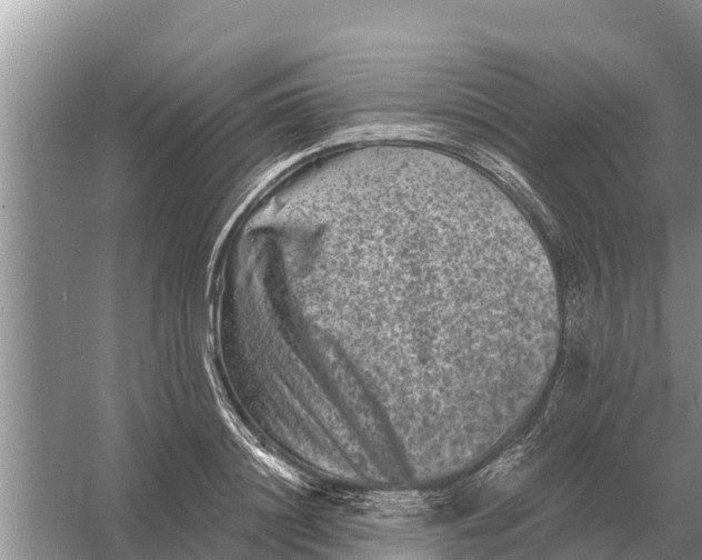 X0000055970844200509162156