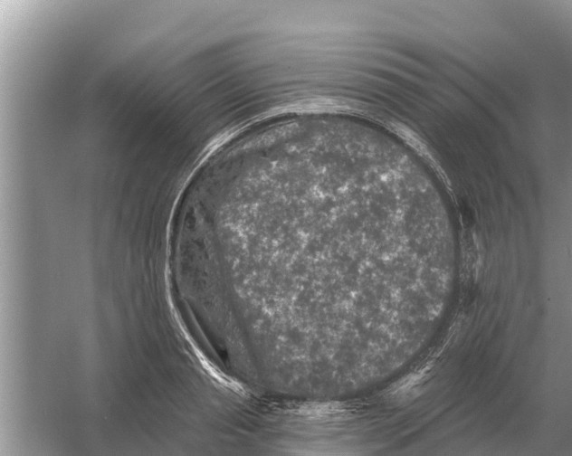 X0000055970845200509162156