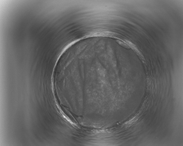 X0000055970846200509162156