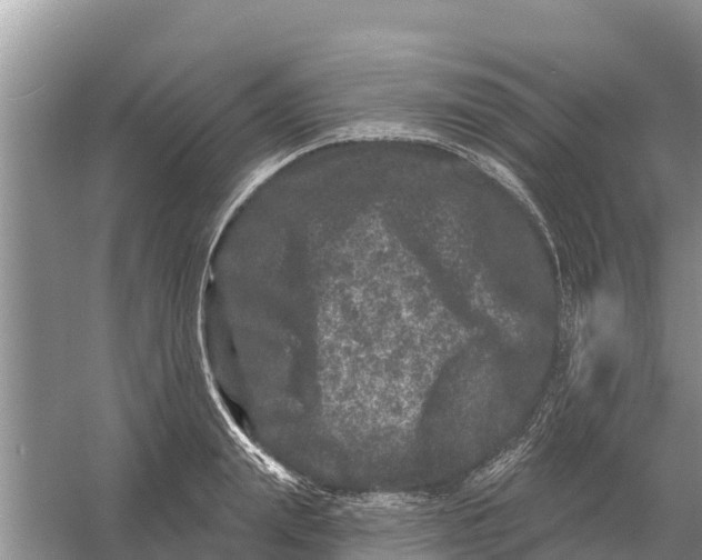 X0000055970847200509162156