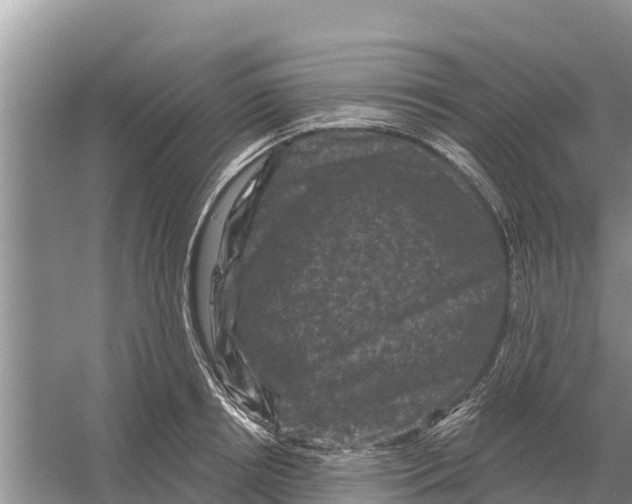 X0000055970850200509162156