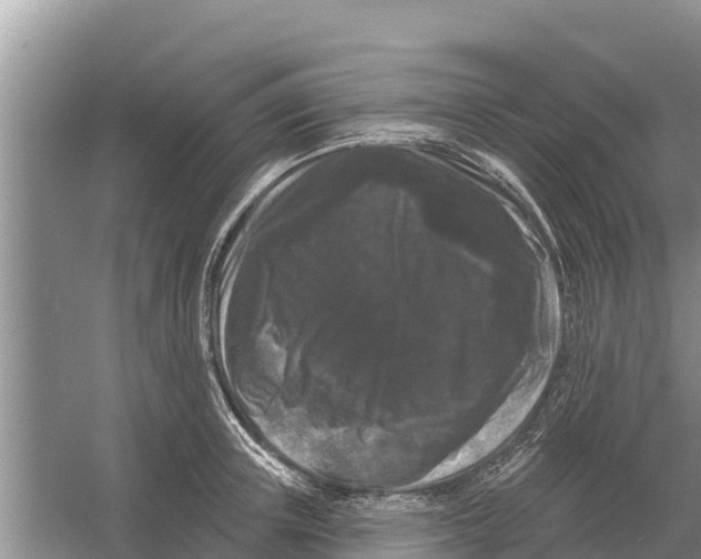 X0000055970851200509162156