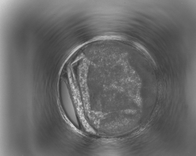 X0000055970852200509162156