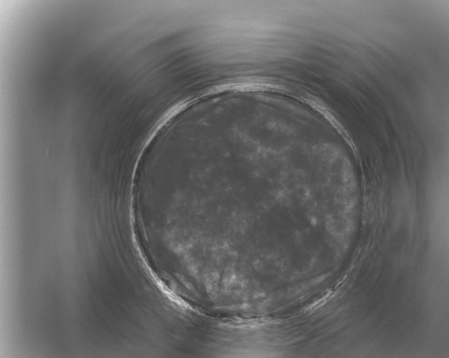 X0000055970853200509162156