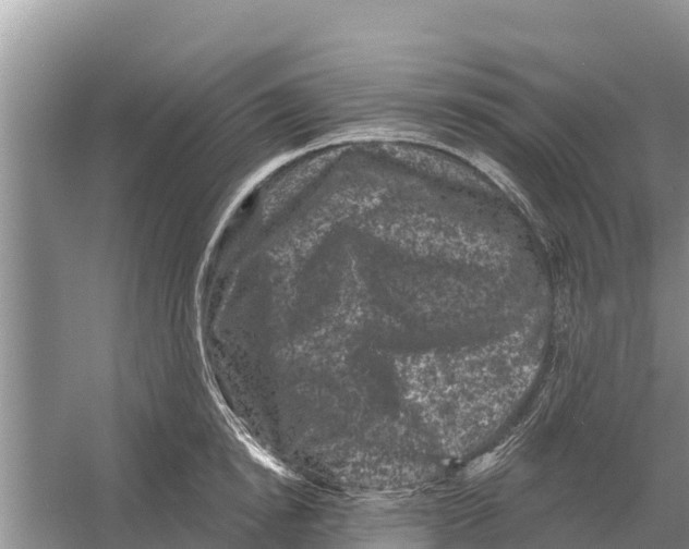 X0000055970854200509162156