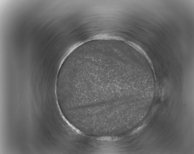 X0000055970855200509162156