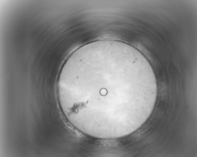 X0000055970856200509162156