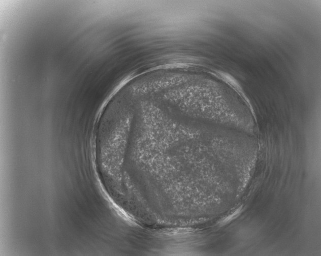 X0000055970859200509162156