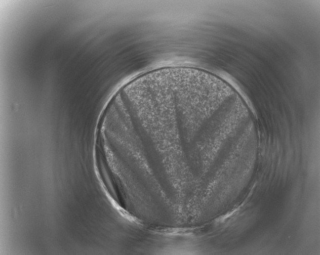 X0000055970861200509162157