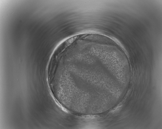 X0000055970862200509162157