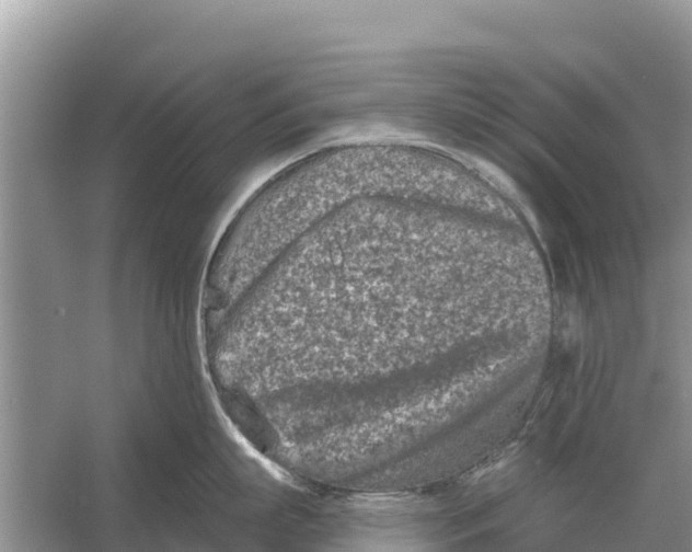 X0000055970863200509162157