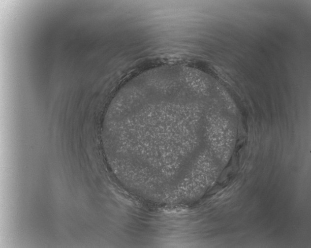 X0000055970865200509162156