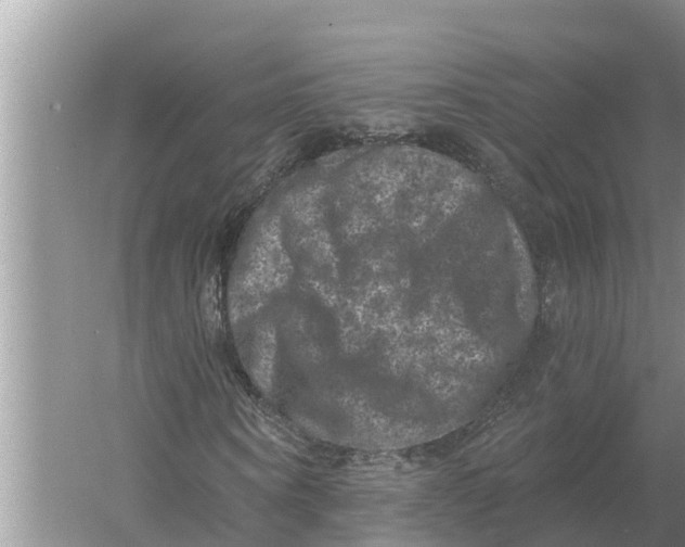 X0000055970866200509162156