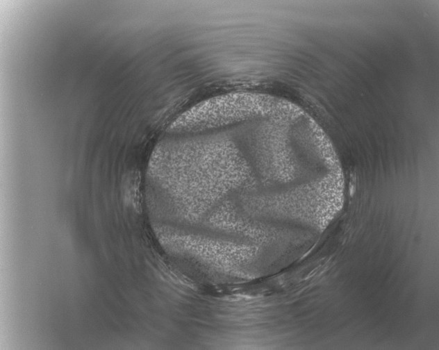 X0000055970867200509162156