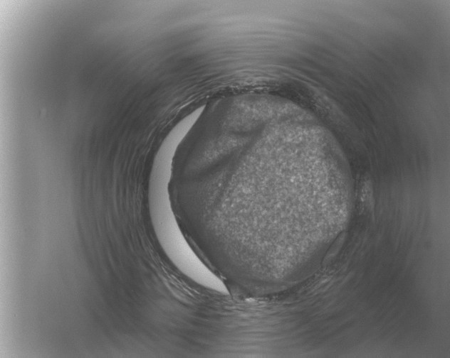 X0000055970868200509162156