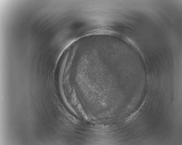 X0000055970875200509162156