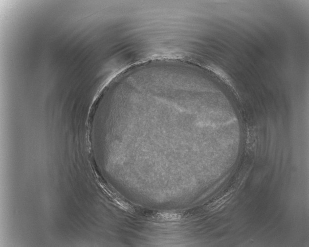 X0000055970878200509162156