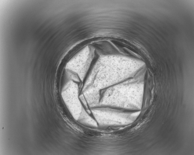 X0000055970880200509162156