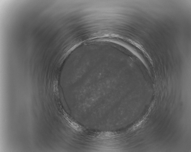 X0000055970881200509162155