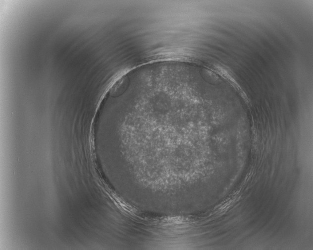 X0000055970883200509162155