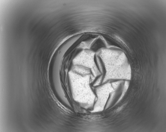 X0000055970884200509162155