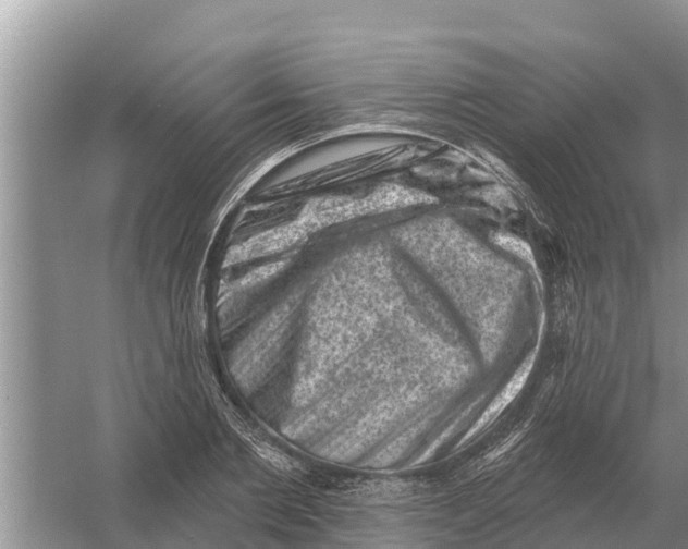 X0000055970885200509162155